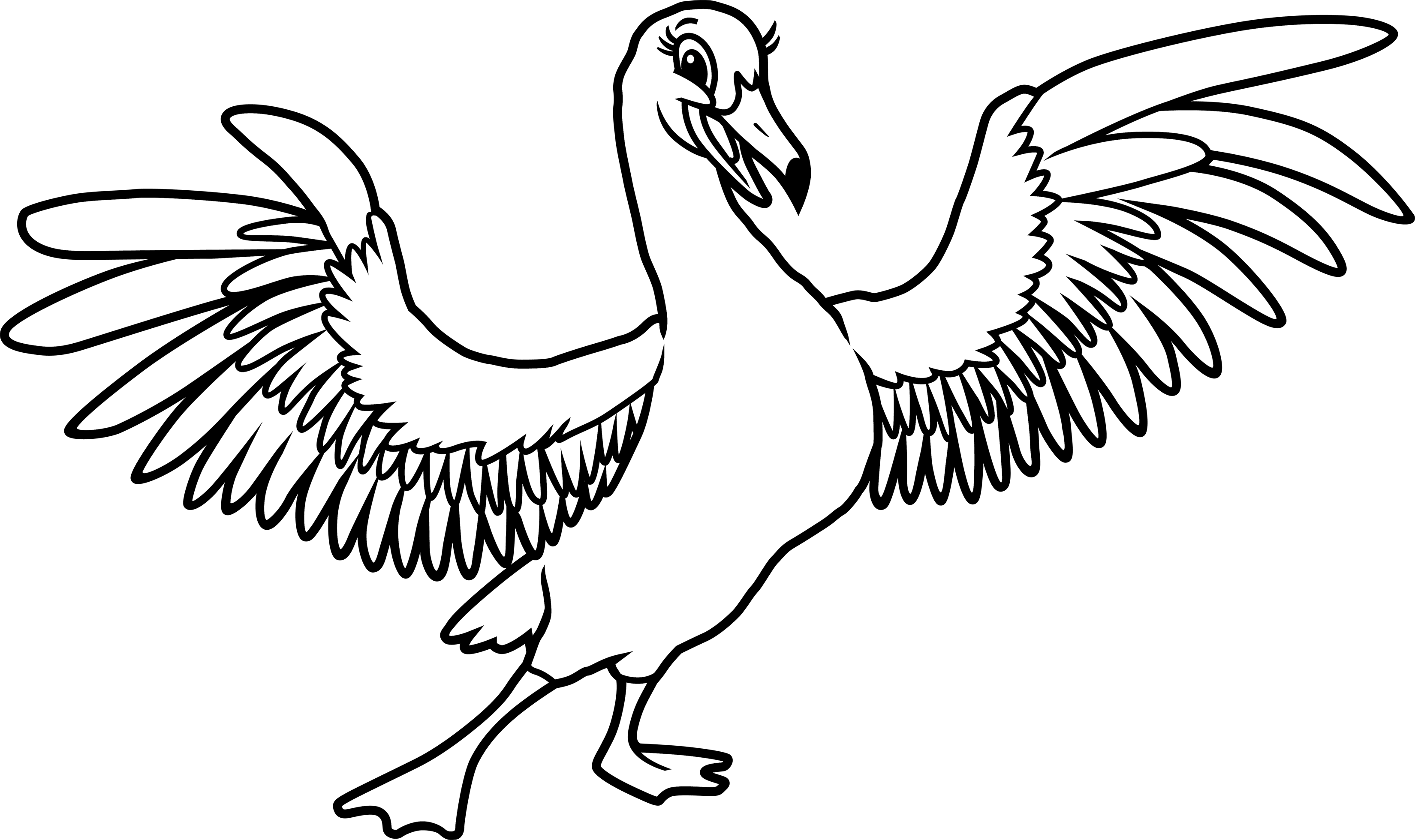 Pelican Spread Wings Illustration PNG