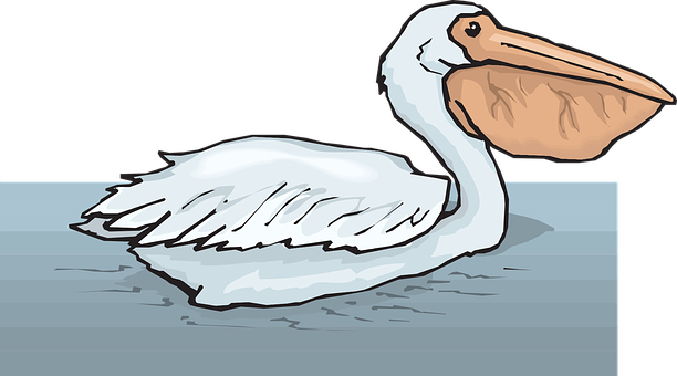 Pelicanon Water Illustration PNG