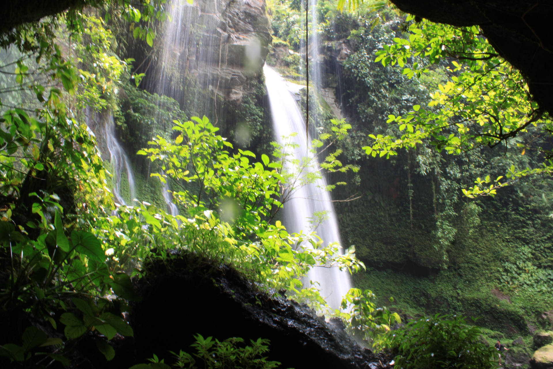 Pemandangan Forest Waterfalls Wallpaper