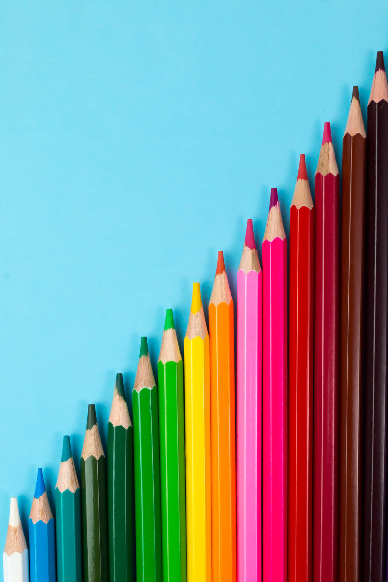 A Row Of Colored Pencils