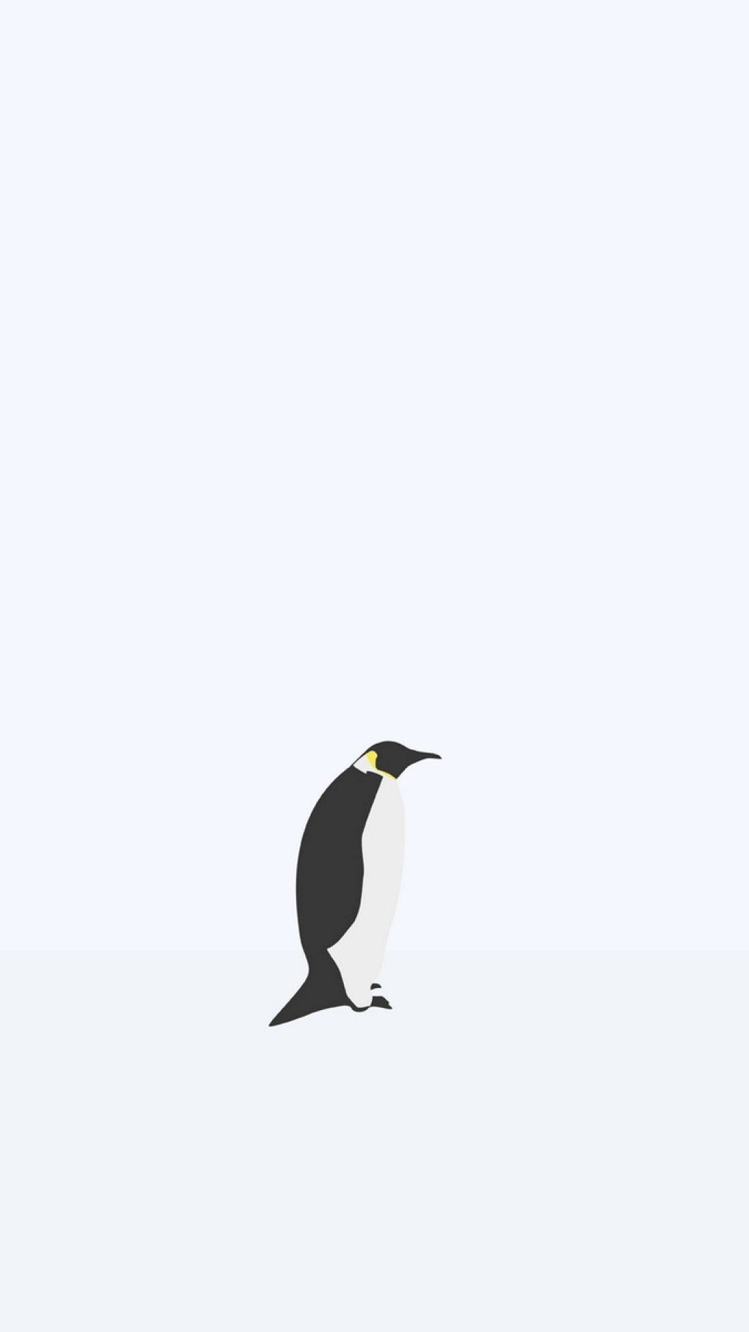 Penguin animal vector art wallpaper