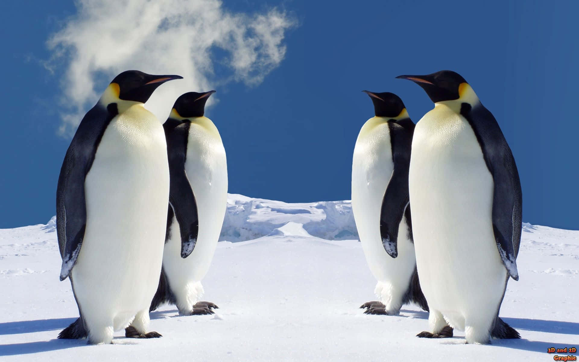 Encantadorafamilia De Pingüinos