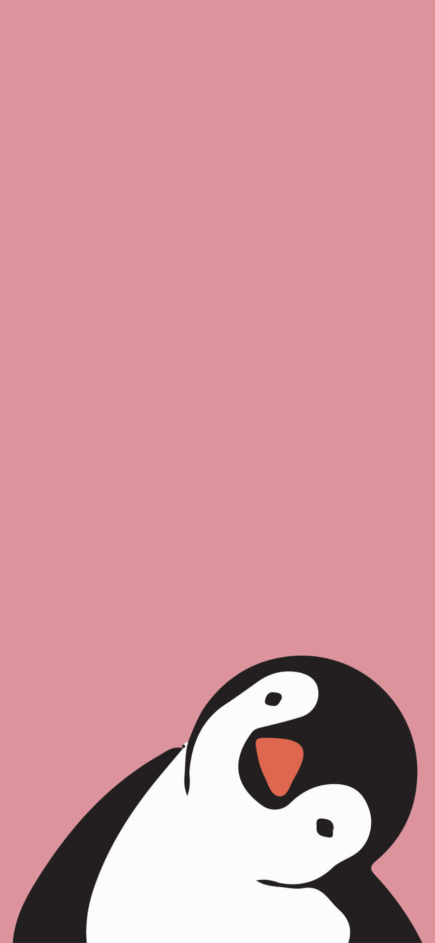 Penguin iPhone Wallpapers  Top Free Penguin iPhone Backgrounds   WallpaperAccess