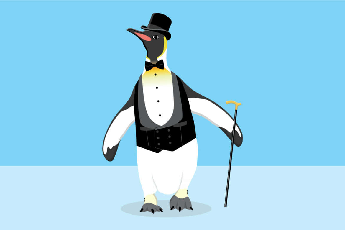 This Penguin is Convinced That He's Ready to Take the World On!