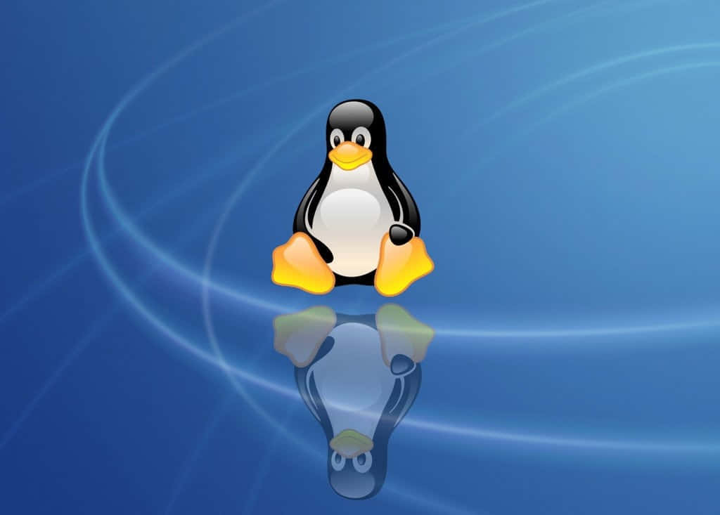 Playful Penguin Tux Desktop Wallpaper Wallpaper