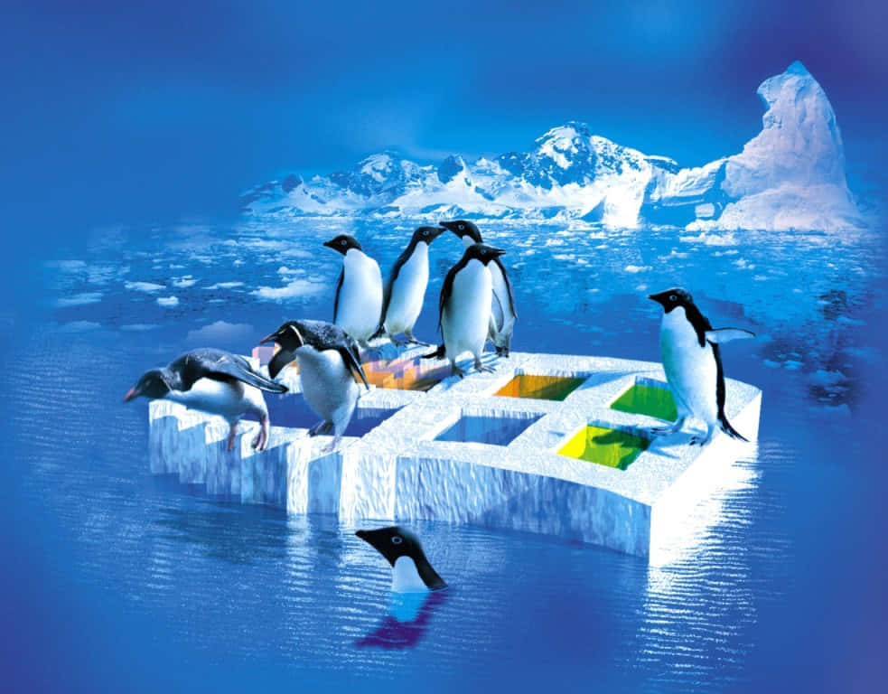 Playful Penguin Tux enjoying a snowy day Wallpaper