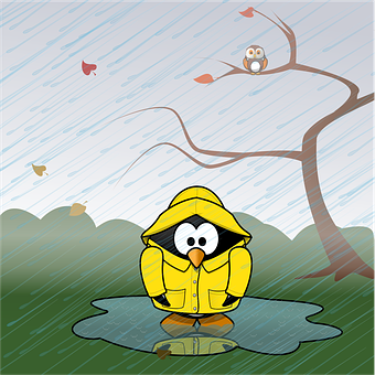 Penguinin Raincoat Rainy Day PNG