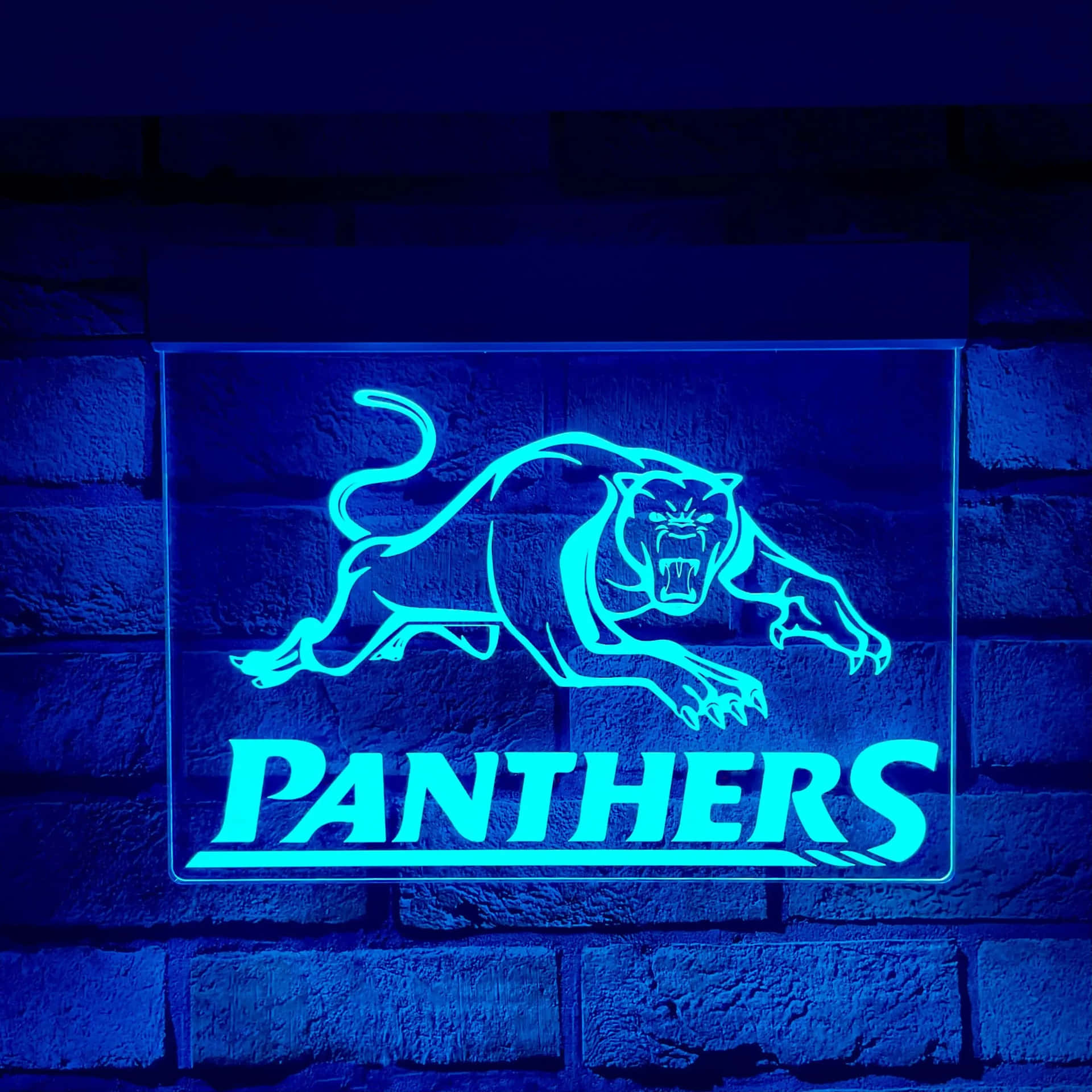 Penrithpanthers (los Panteras De Penrith) Fondo de pantalla