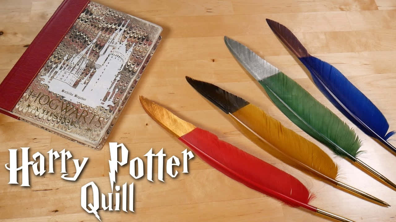 Harry Potter Quill Feathers And Book