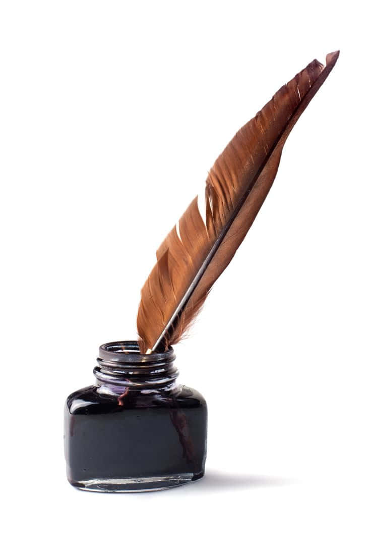 A Pen With A Feather In It On A White Background