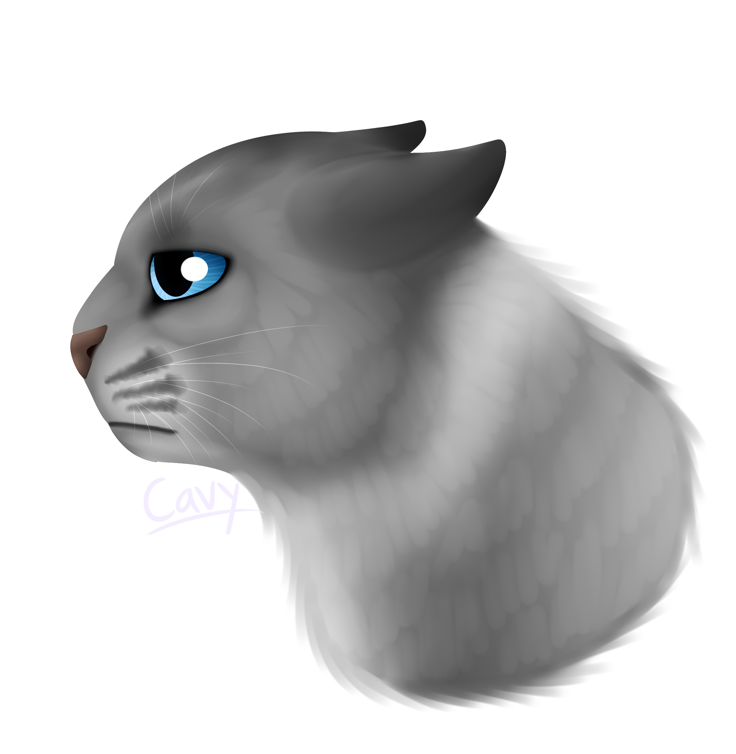 Pensive Blue Eyed Cat Meme PNG