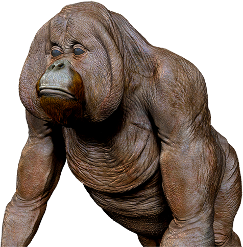 Pensive Orangutan Sculpture PNG