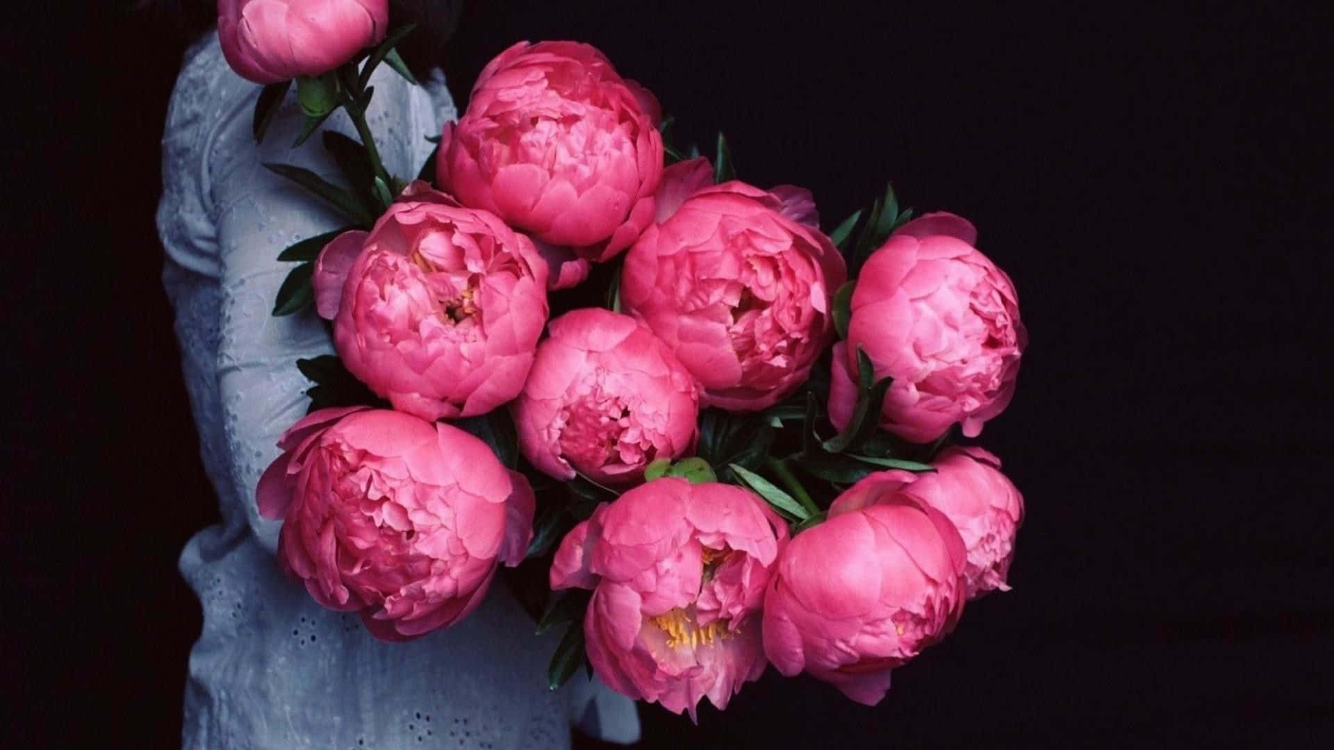 Colorful Blooms of Peonies Make a Beautiful Backdrop