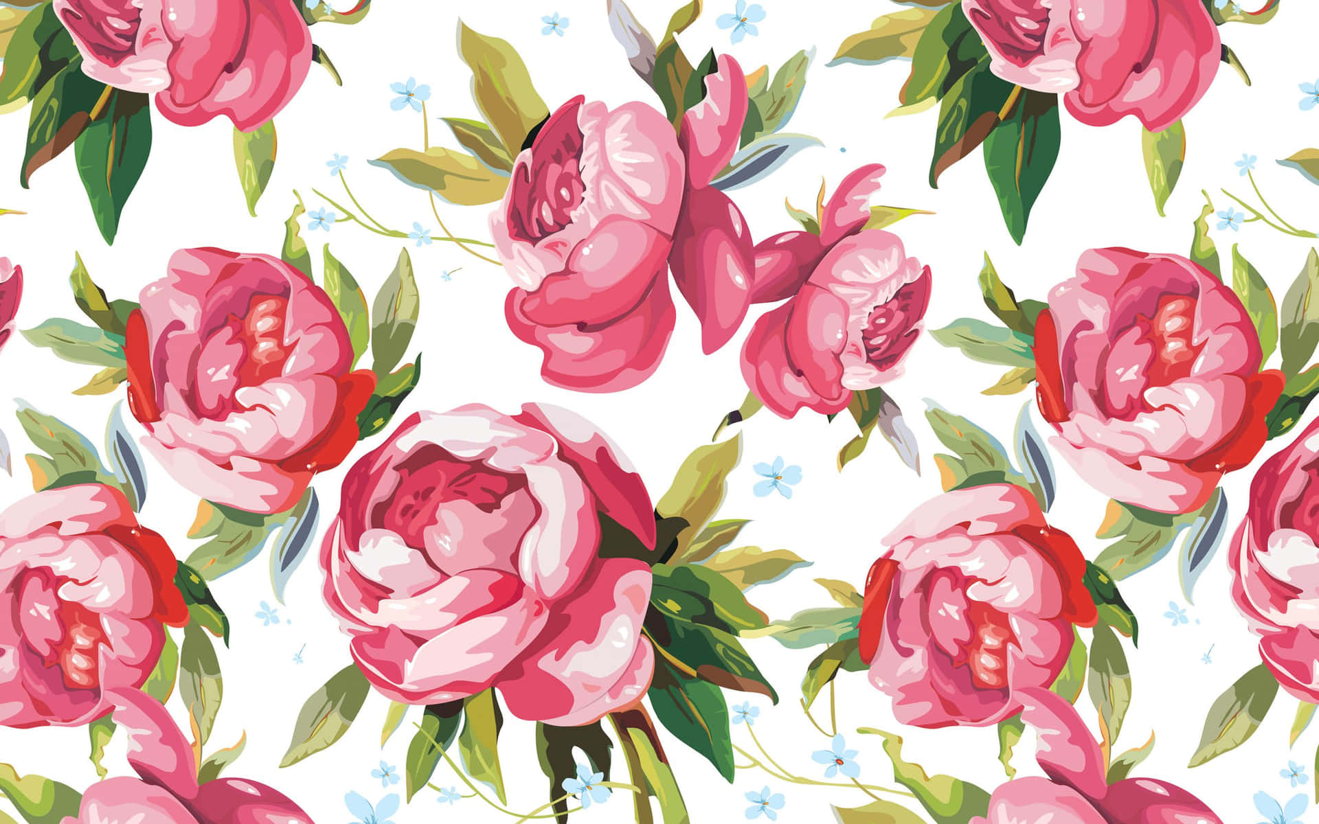 Pink Peony Flower Pattern On White Background