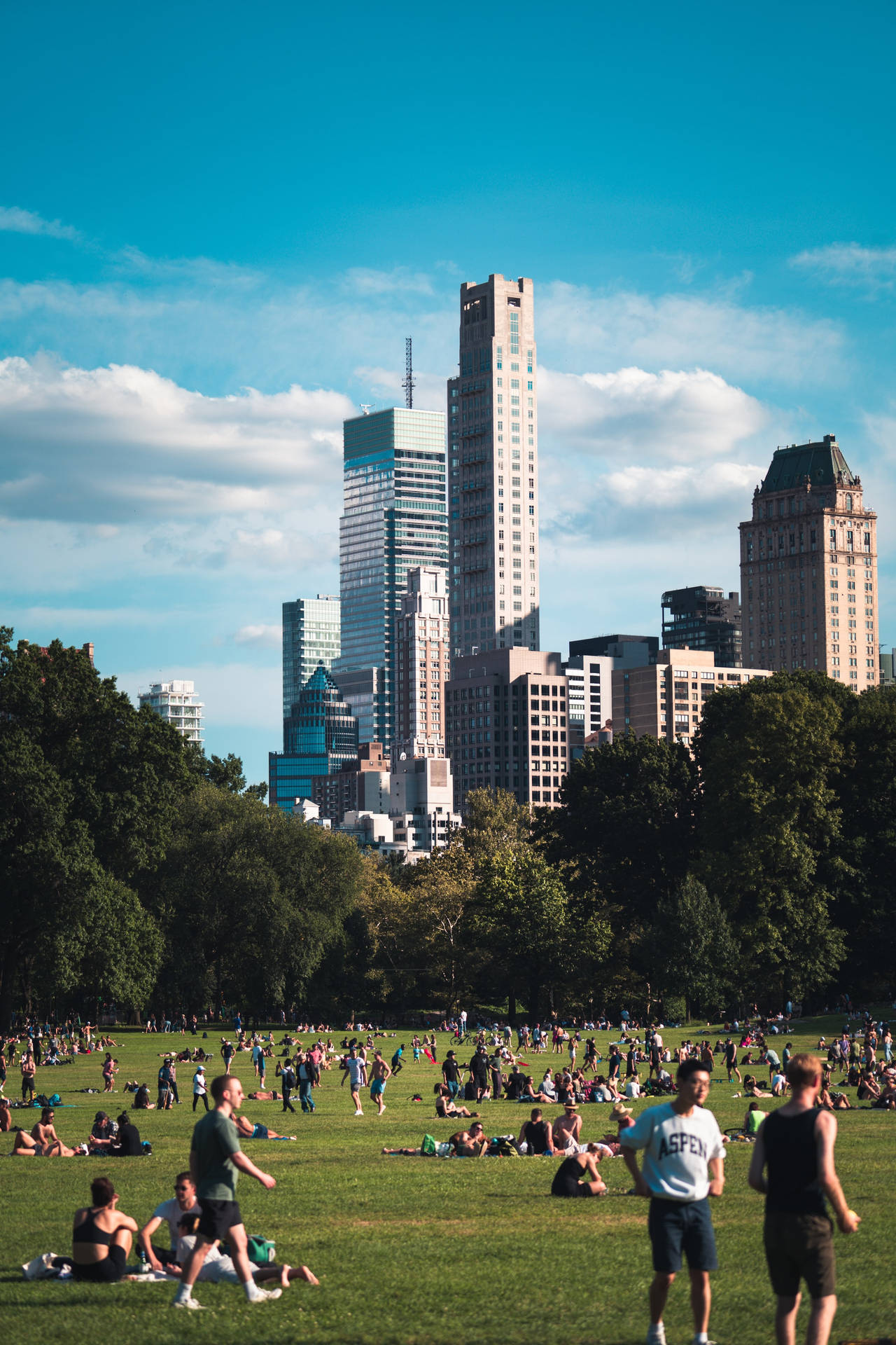People On Central Park Field Wallpaper