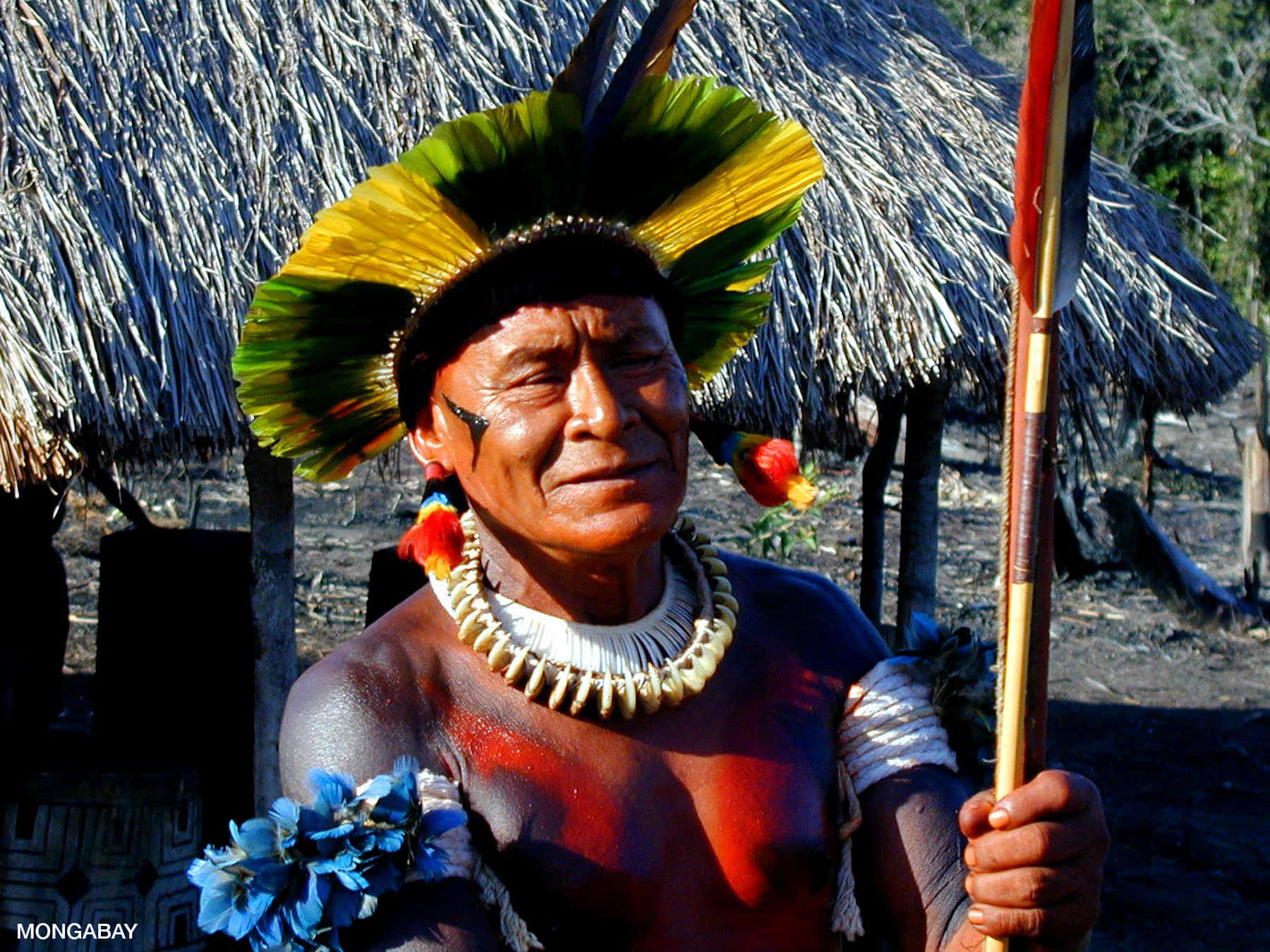 A Man With A Feathered Headdress