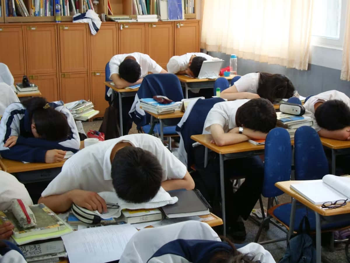 A Group Of Students Sleeping In A Classroom