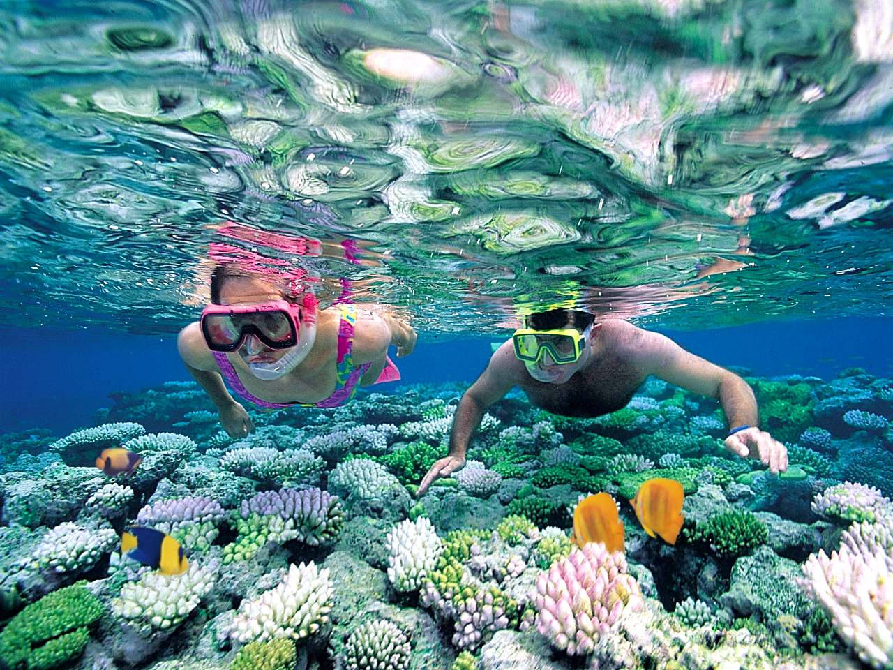 People Snorkeling In Shallow Waters Wallpaper