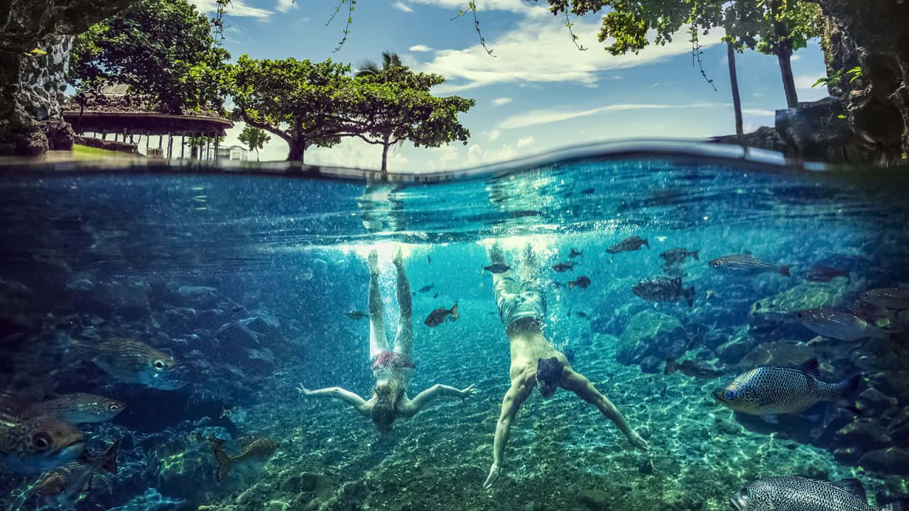 People Swimming In Apia Wallpaper