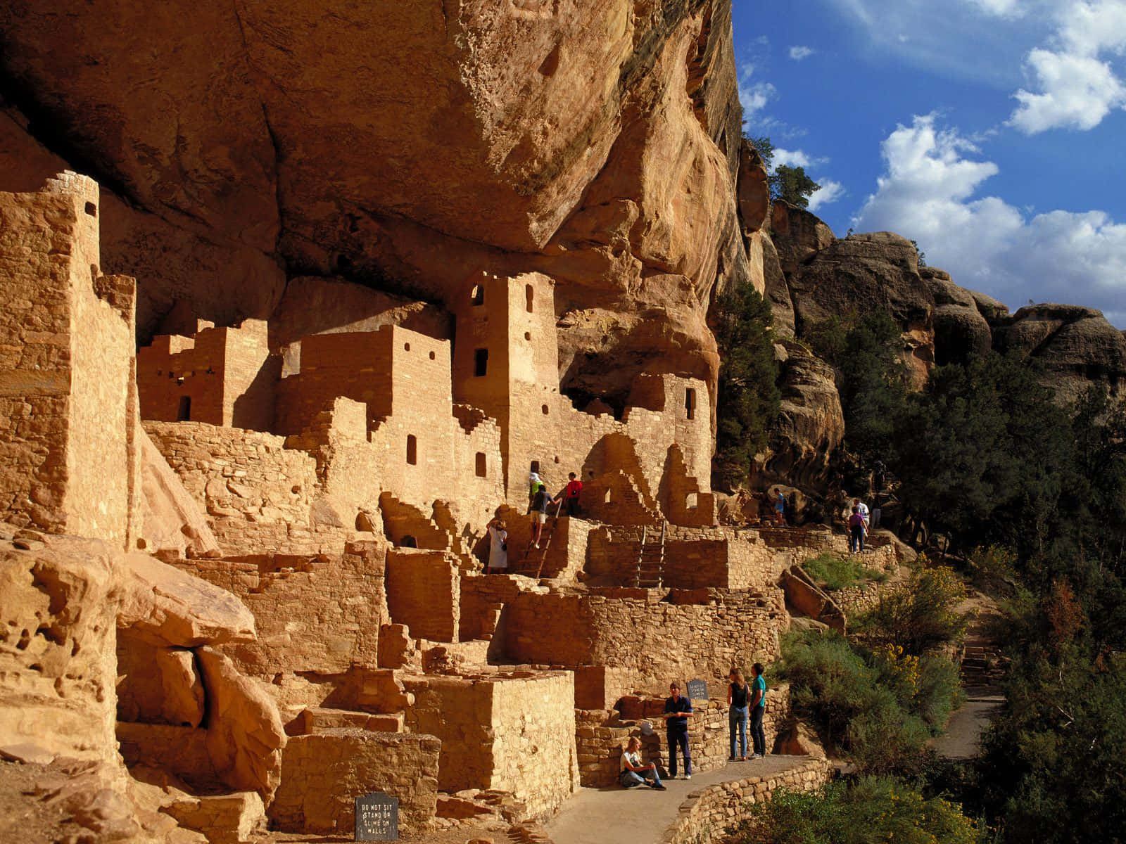 People Touring The Cliff Palace Mesa Verde National Park Background