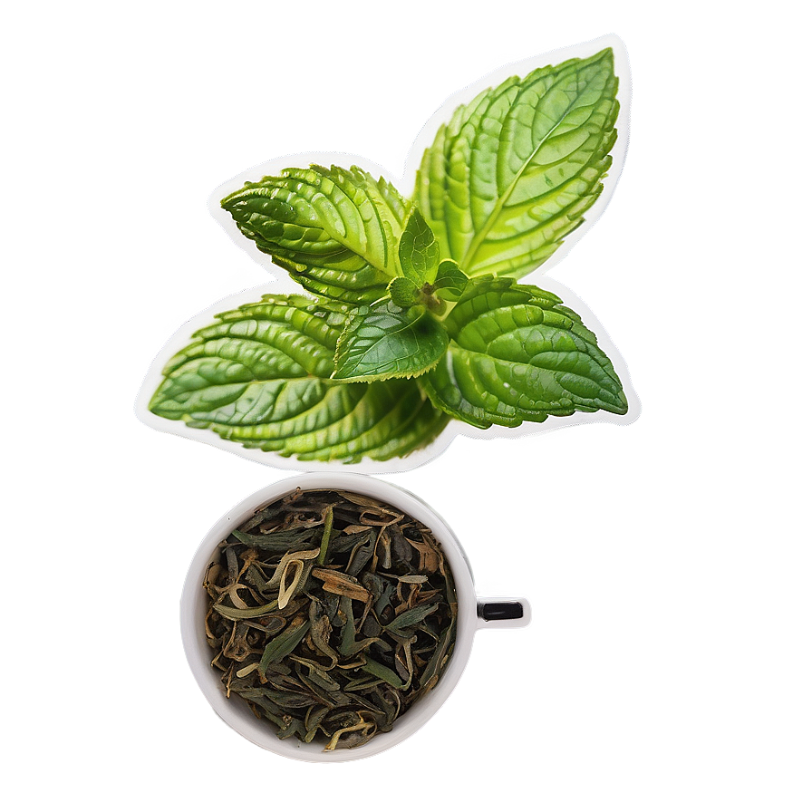 Peppermint Tea Leaf Png Tfm PNG