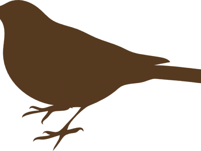 Perched Bird Silhouette PNG