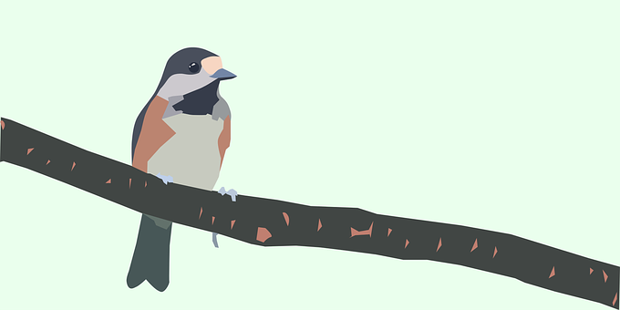 Perched Sparrow Illustration PNG