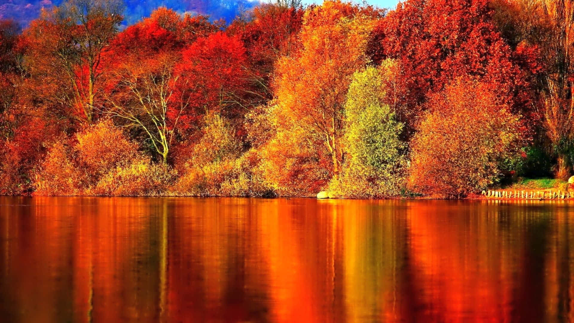 Disfrutade La Belleza De La Temporada De Otoño Con Árboles Que Cambian De Colores Vibrantes Como El Amarillo Y El Naranja. Fondo de pantalla