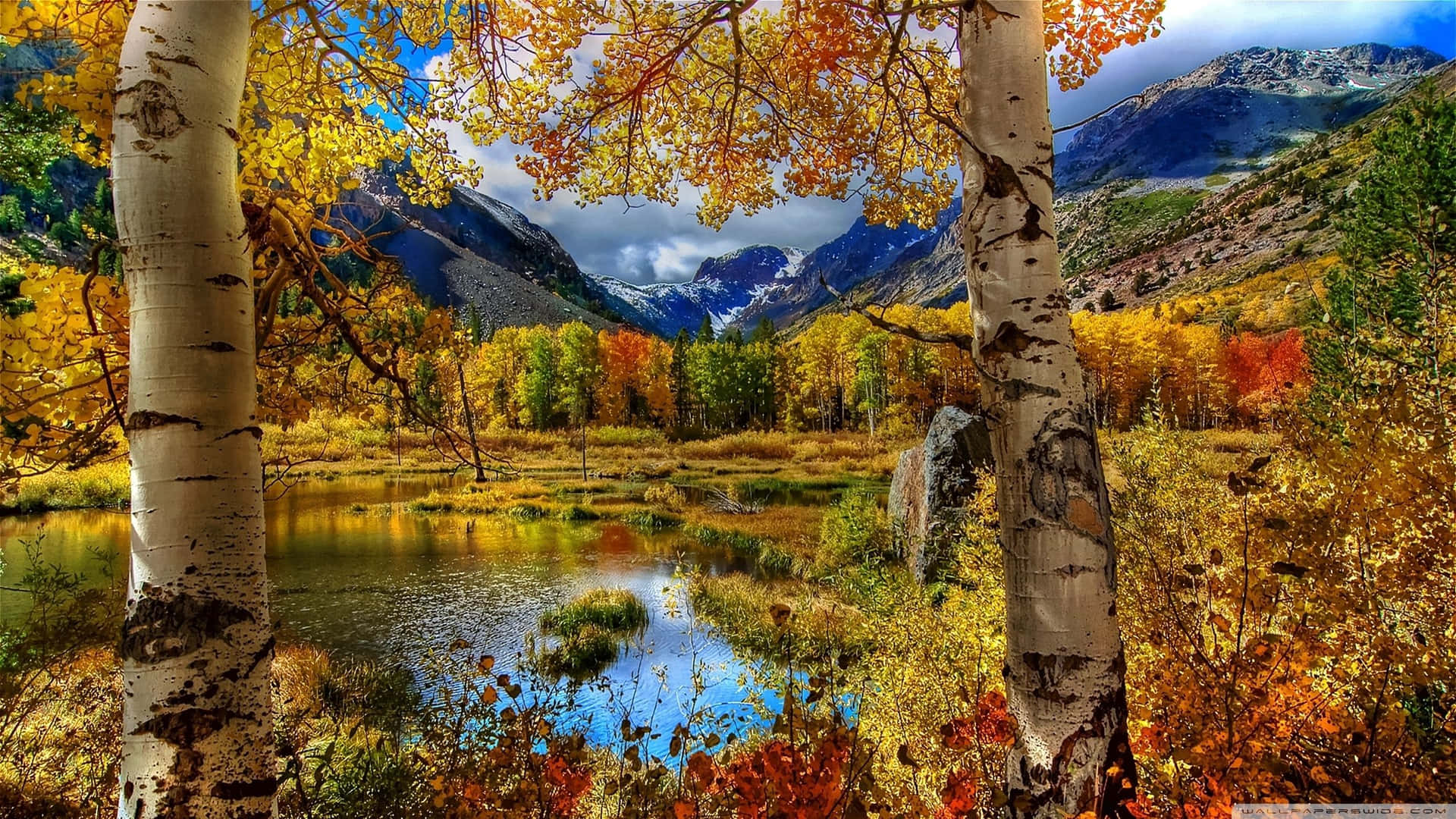 Beautiful moments in nature: a peaceful look of a calm autumn day Wallpaper