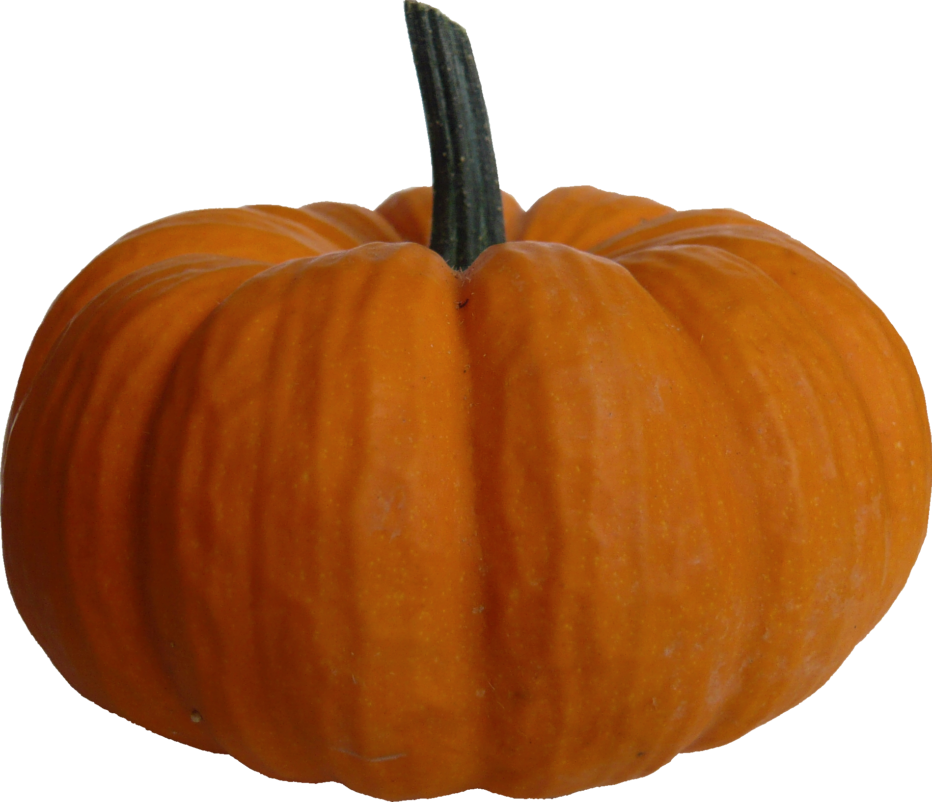 Perfect Orange Pumpkinon Blue Background.png PNG