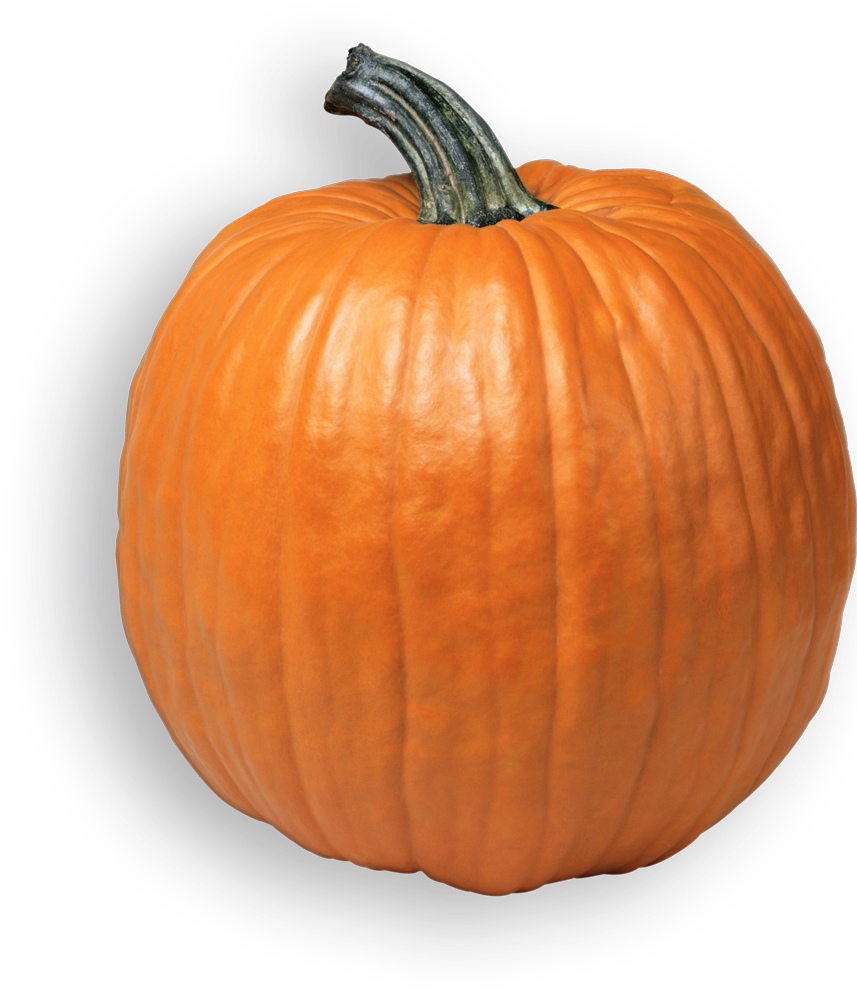 Perfect Orange Pumpkinon Gray Background.png PNG