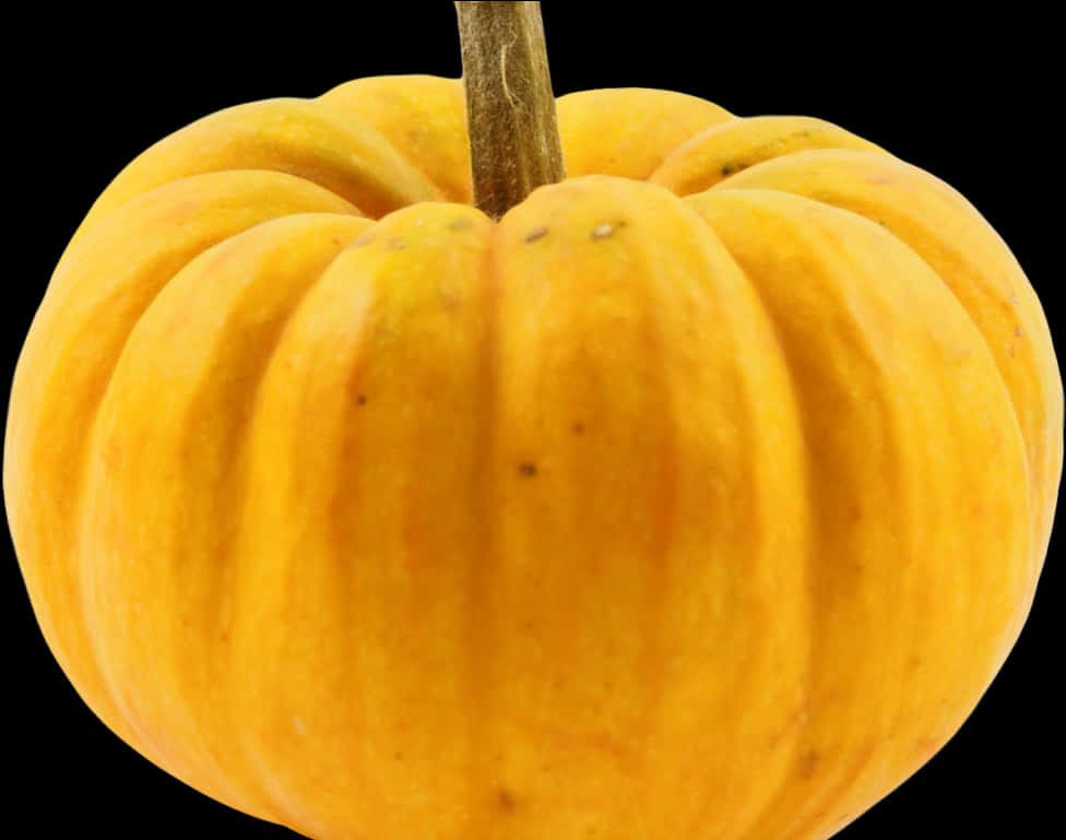 Perfect Pumpkin Black Background PNG