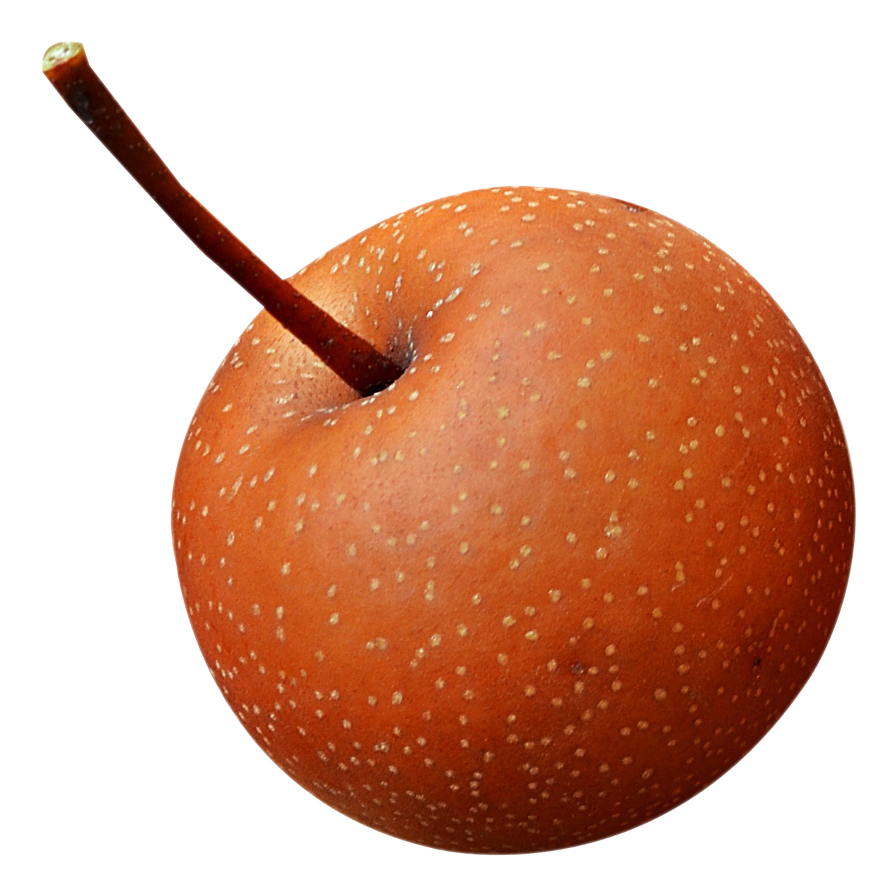 Perfect Red Apple PNG