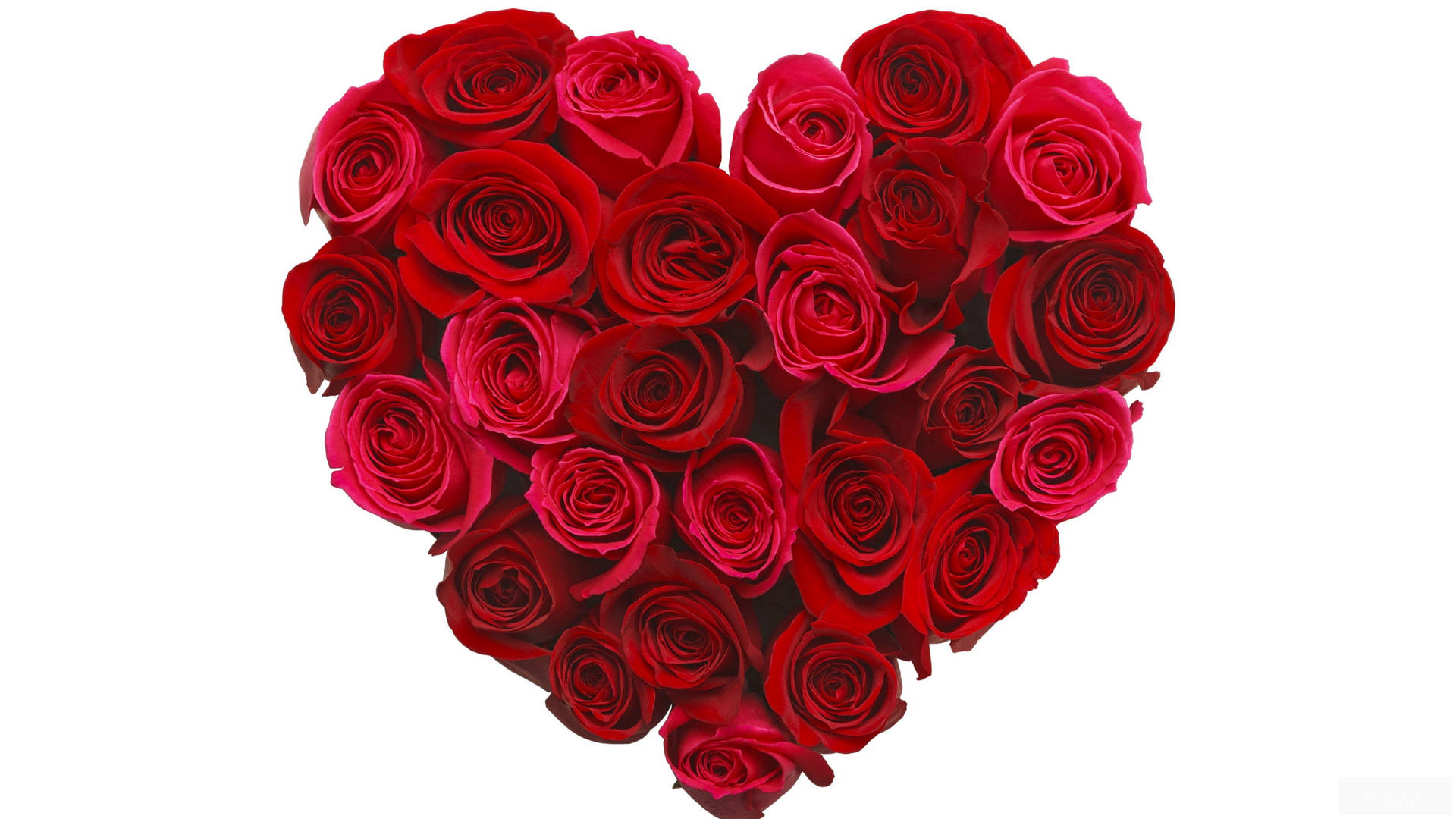 Perfect Rose Flower Heart Wallpaper