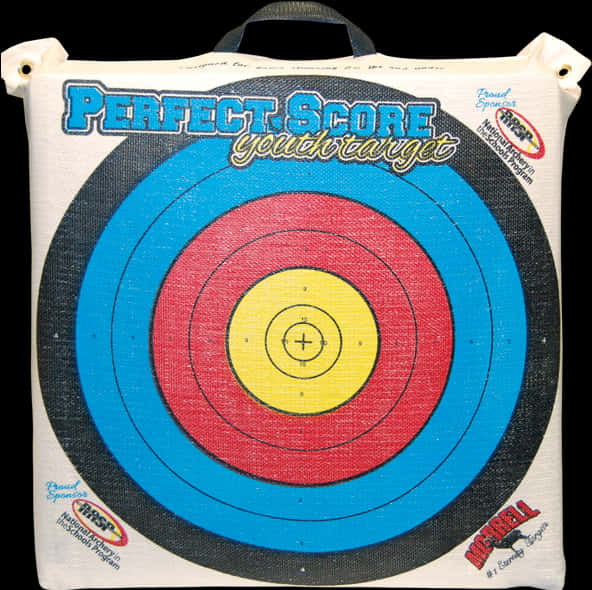 Perfect Score Archery Target PNG