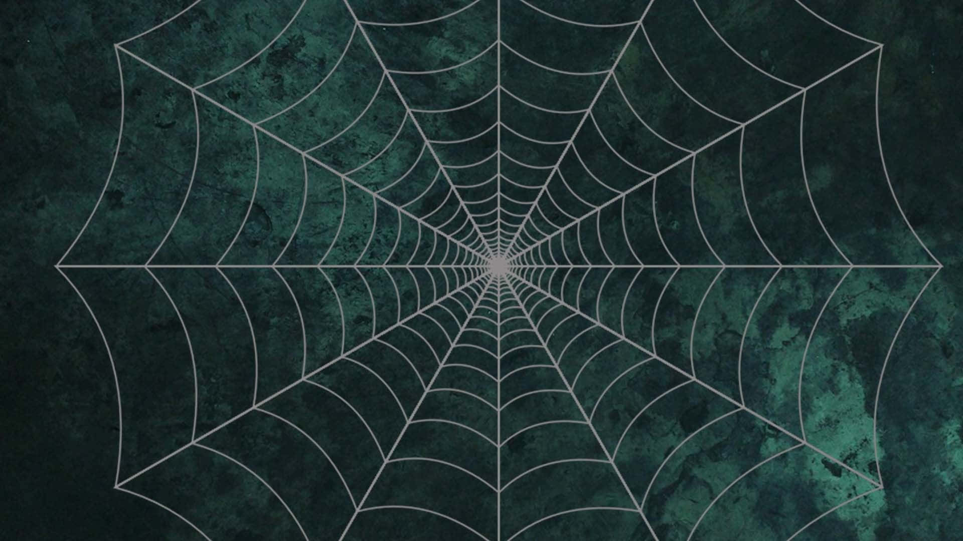 Perfect Spider Web Background Green Smoke