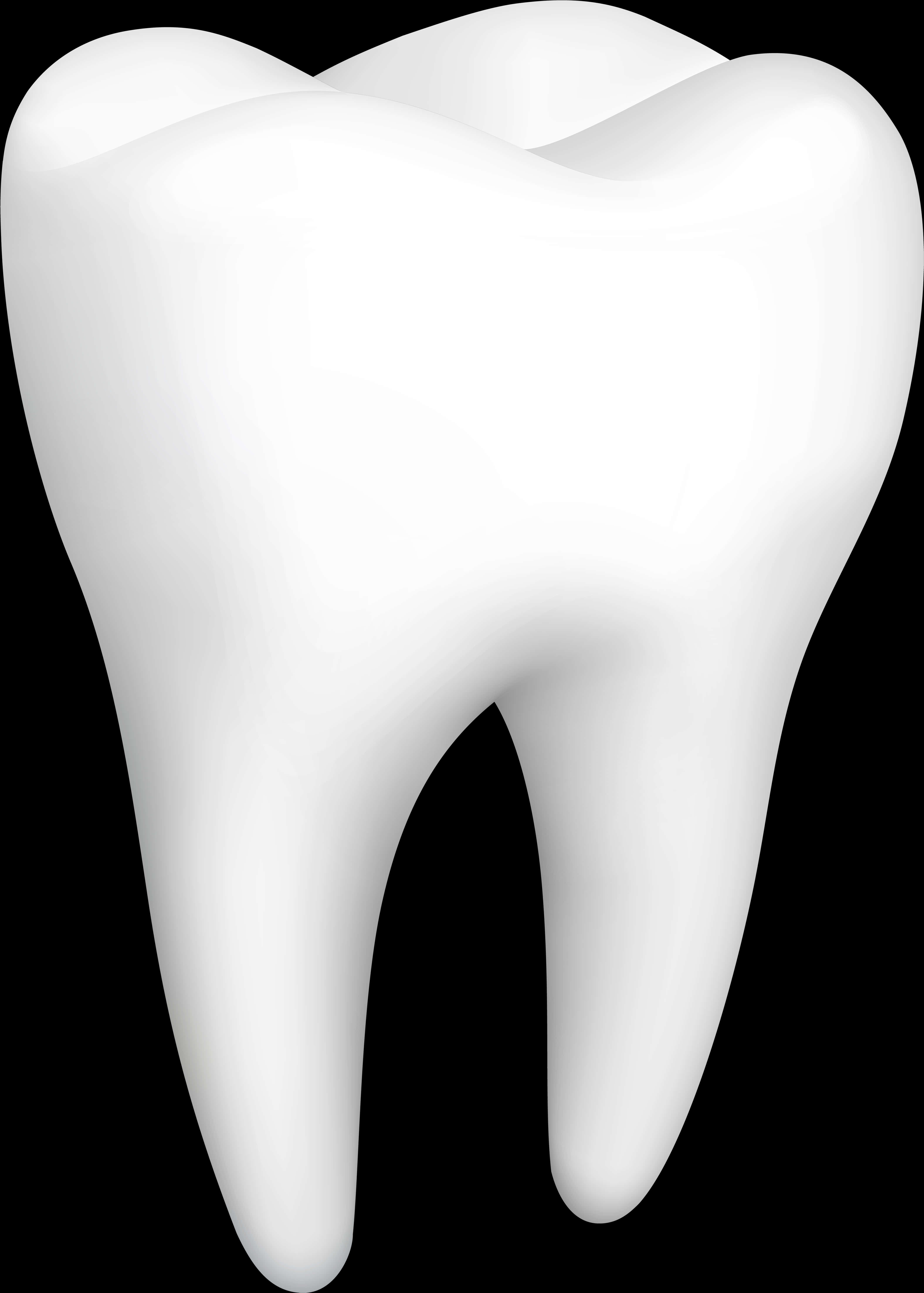 Perfect White Molar Tooth PNG
