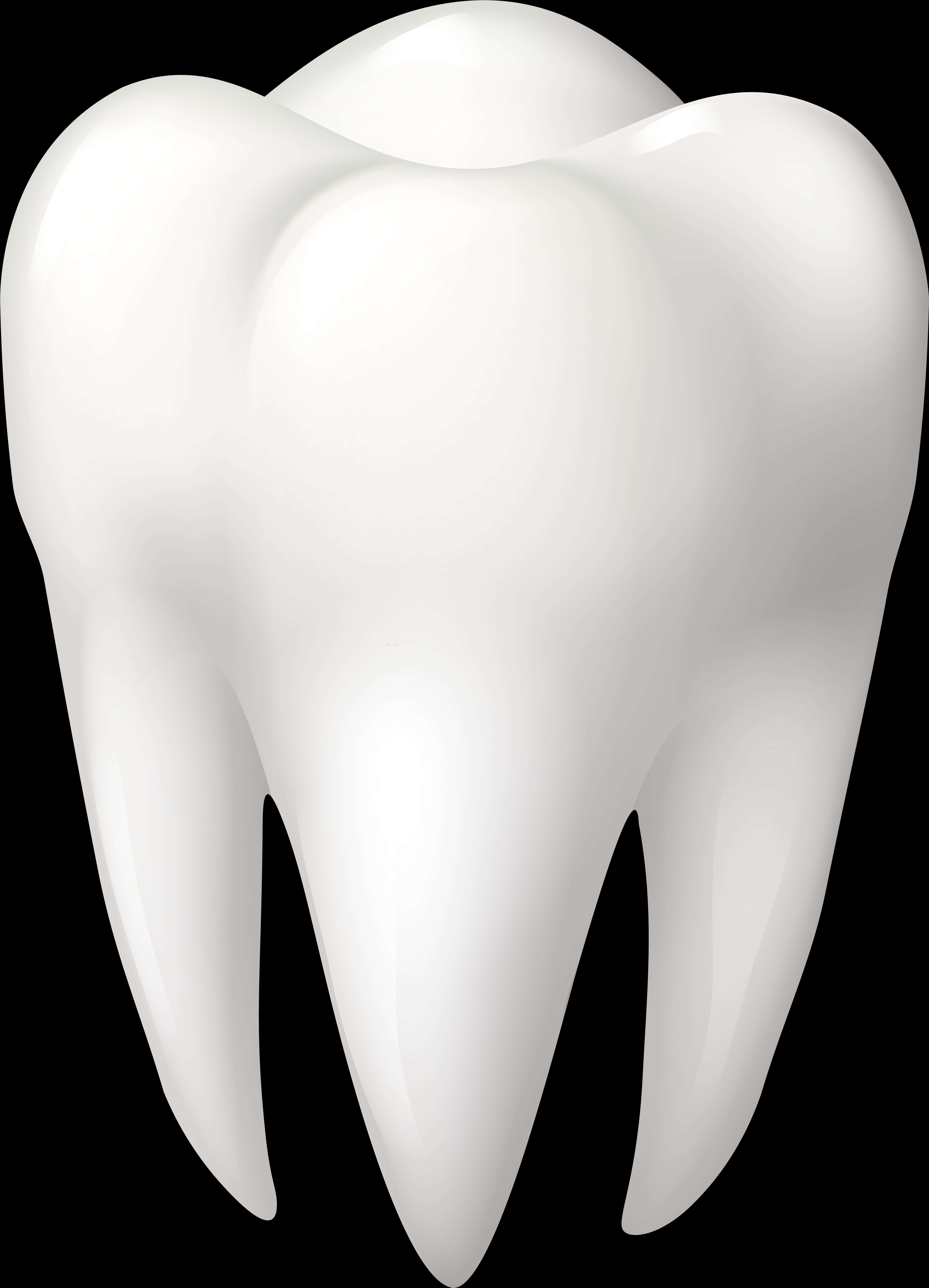 Perfect White Tooth Graphic PNG