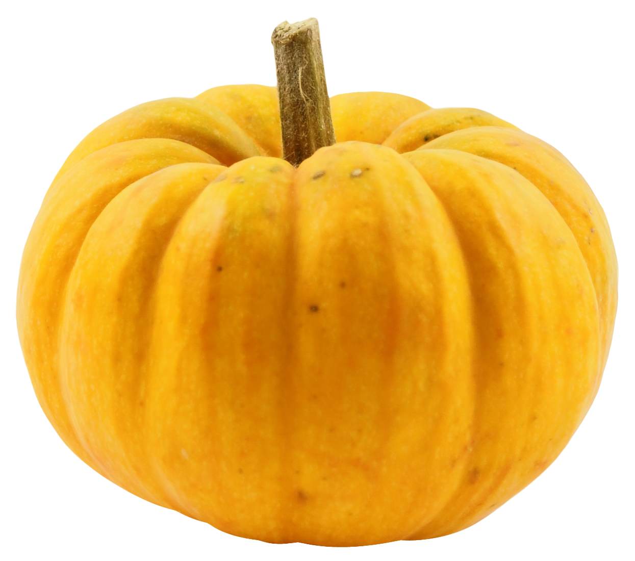 Perfect Yellow Pumpkin Isolated Background.png PNG