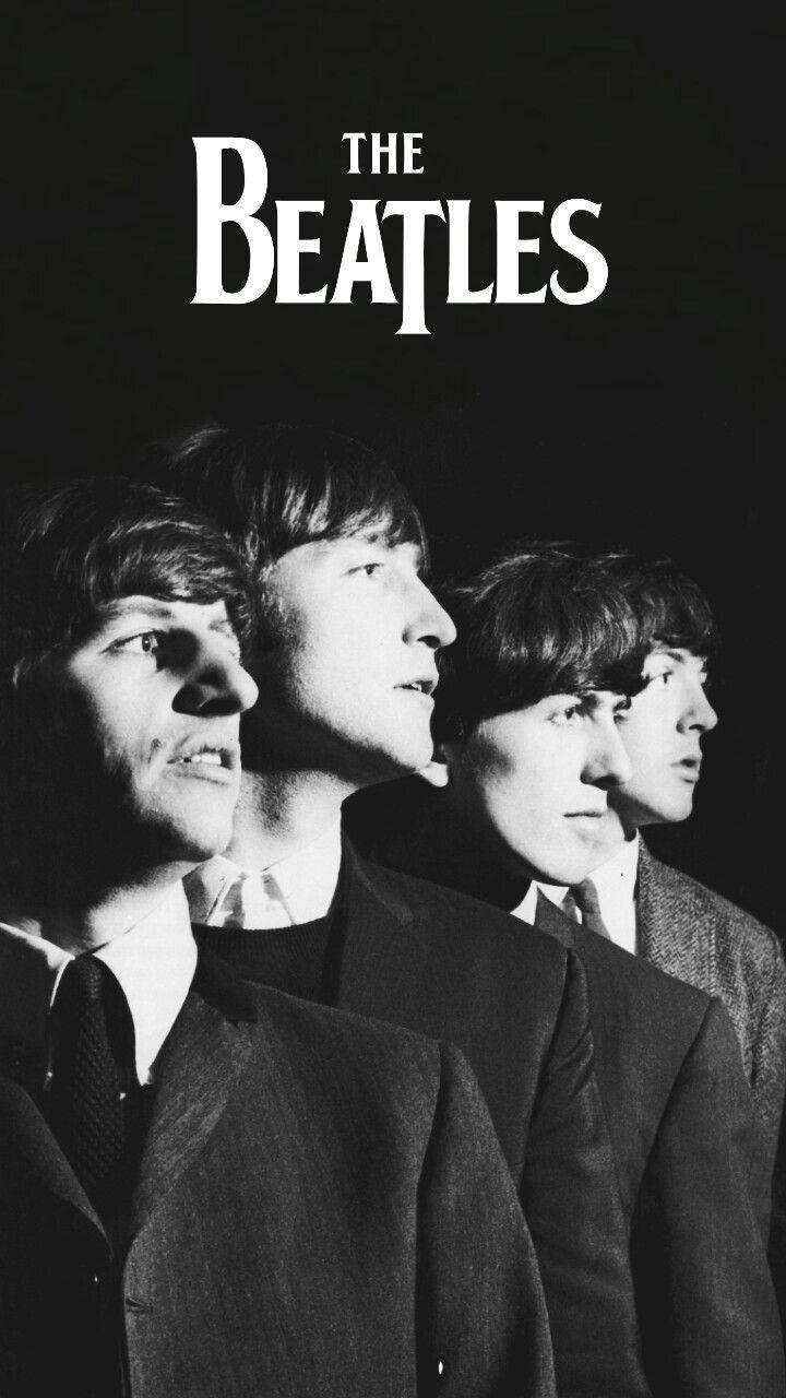 Perfil Dos Beatles Papel de Parede