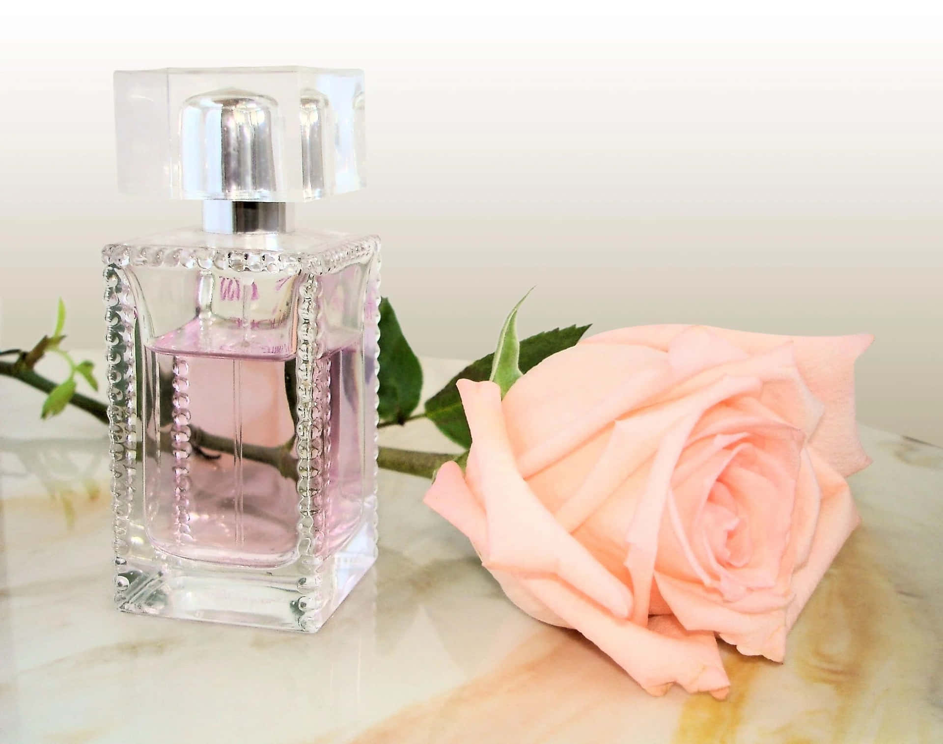 Alluring Perfume To Keep You in high spirits!