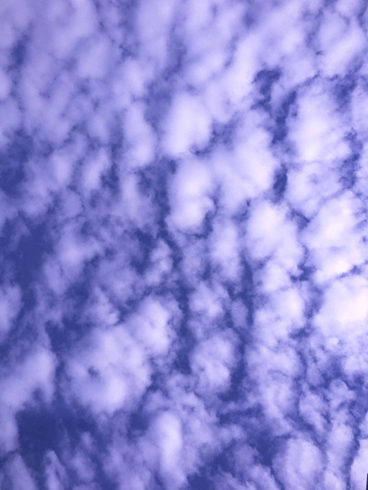 Periwinkle Aesthetic Stratus Clouds Wallpaper