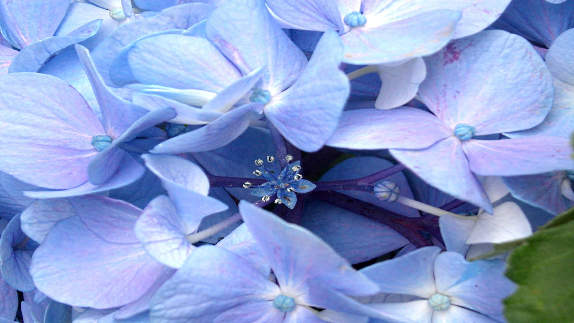 A twinkling view of the calming Periwinkle Blue horizon