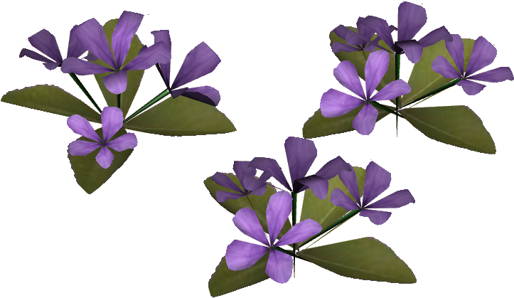 Periwinkle Flowers Transparent Background PNG