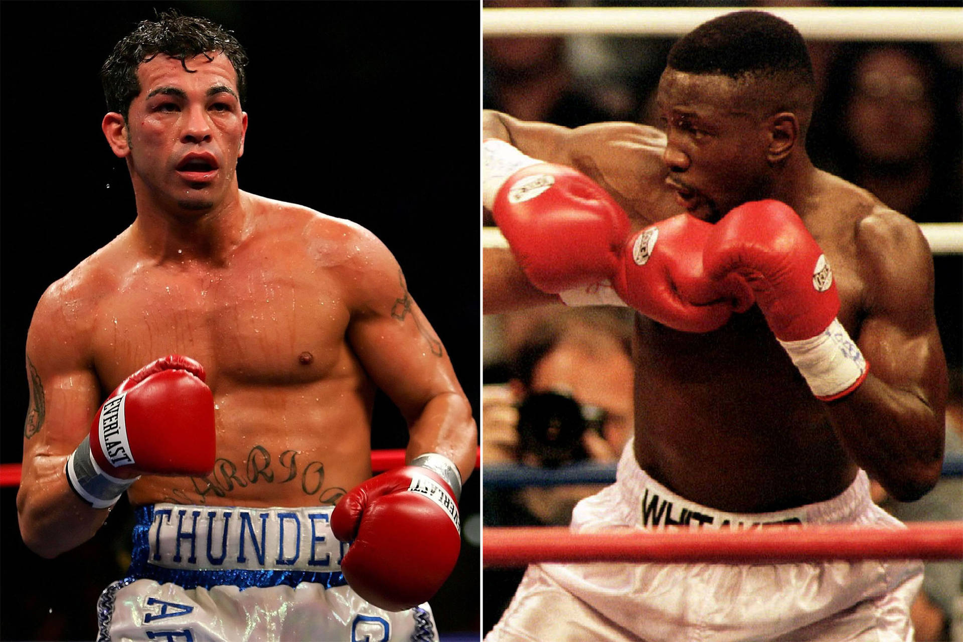 Pernell Whitaker And Jimmy Thunder Wallpaper