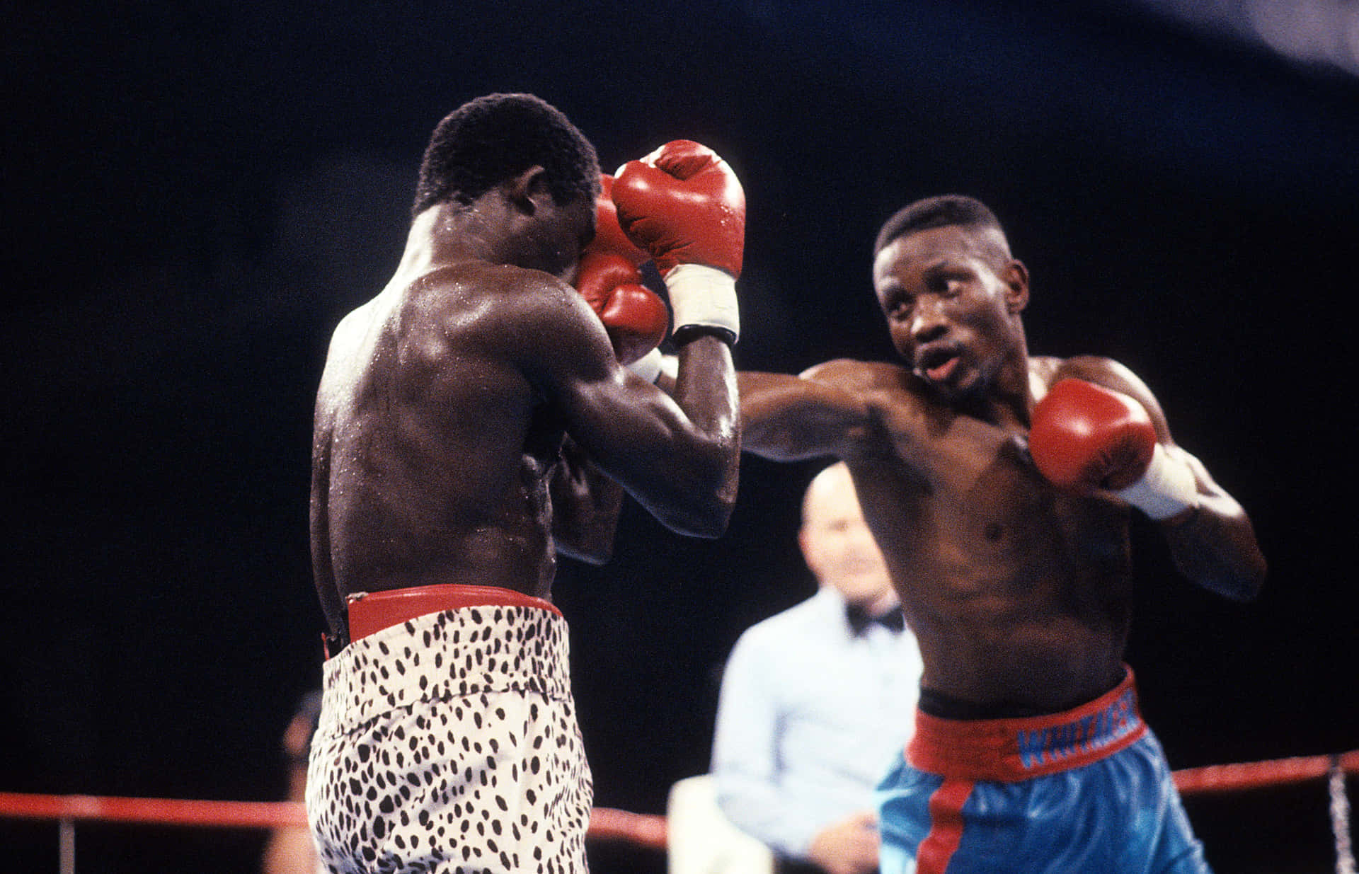 Pernell Whitaker Breaching Defence Wallpaper