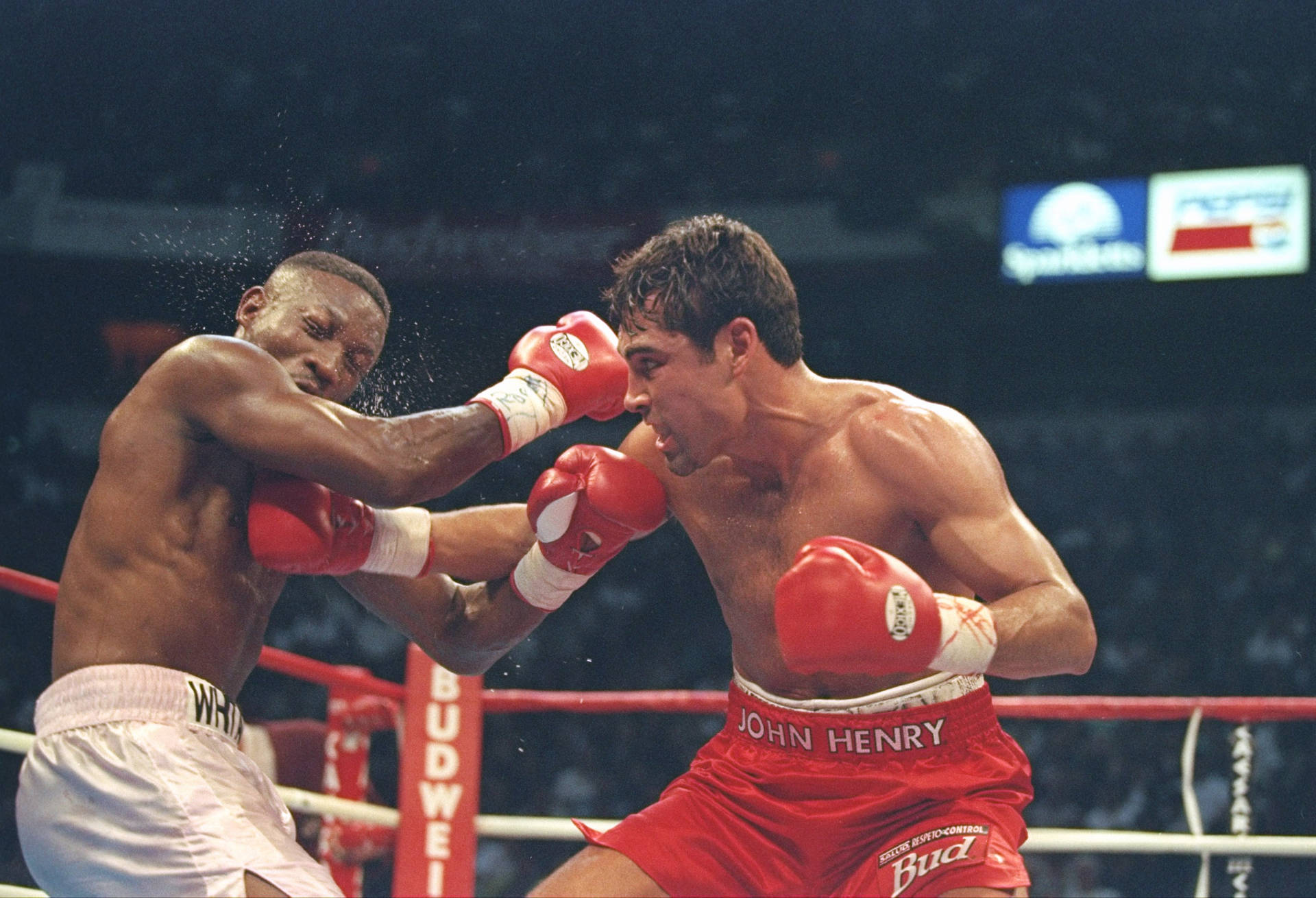 Pernell Whitaker Receiving Punch Wallpaper