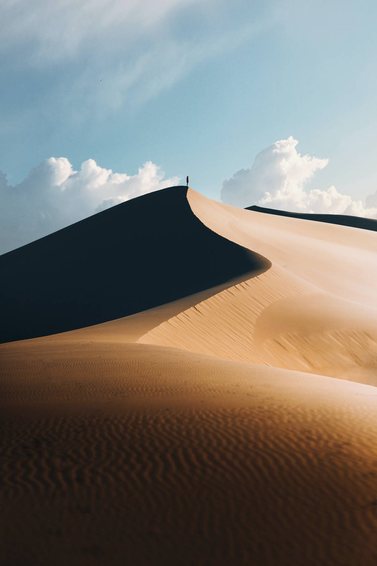 Exploring the desert with a sense of wanderlust Wallpaper