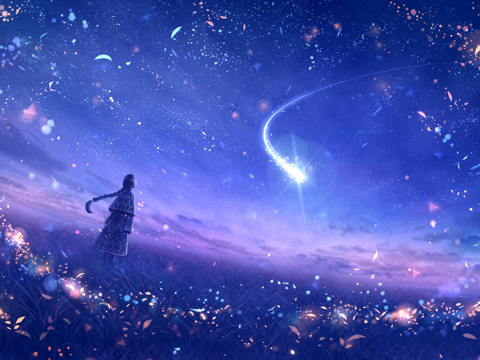 HD wallpaper: body of water, your name, sky, stars, kimi no na wa, lights,  Anime