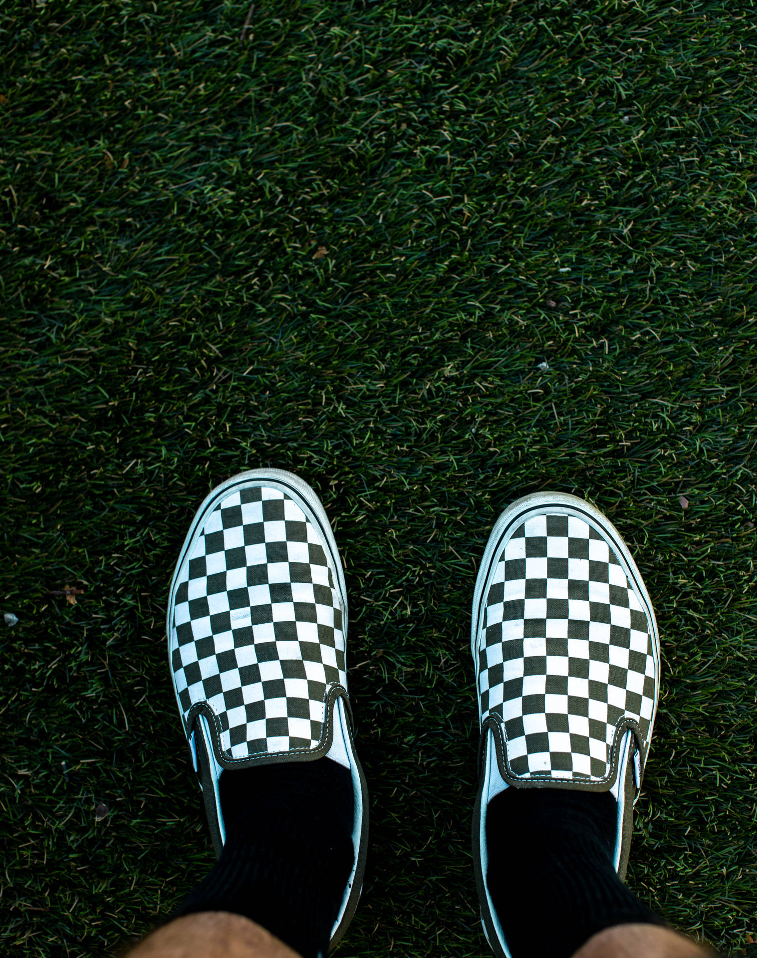 Person On Checkered Vans Shoes Wallpaper